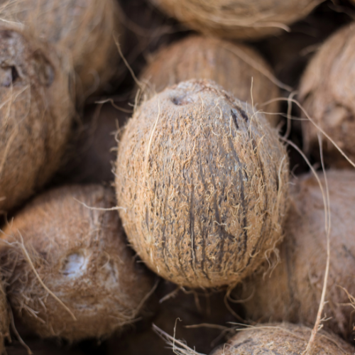 fully husked coconuts