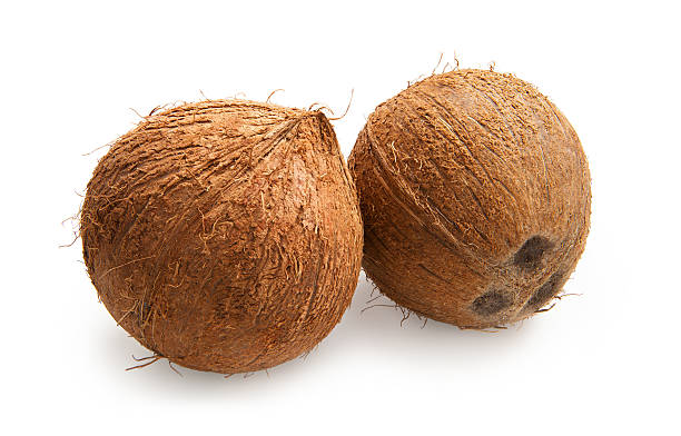 fully husked coconuts