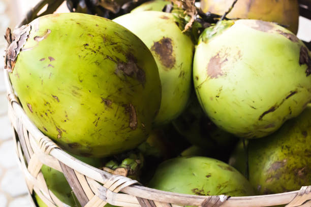 tender coconuts