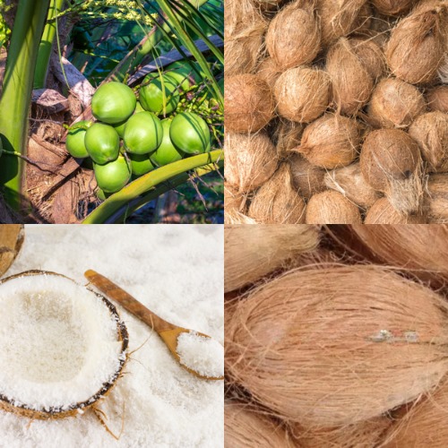 Coconut products